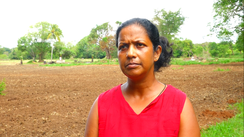 මාලිමා ආණ්ඩුව බලයට පැමිණි පසු ආධාරකරුවෙක් ක්‍රීඩාංගනයක් වගා බිමක් කරලා – ගමේ තරුණයින්ගෙන් චෝදනා