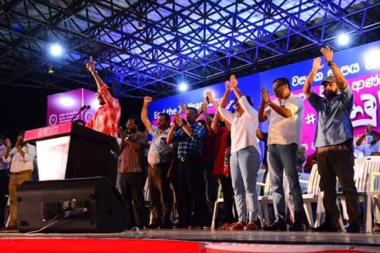 2024 general election NPP