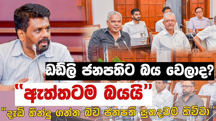 හාල් ප්‍රශ්නය, ජනාධිපති, මාලිමාව හා ප්‍රතිවාද  – අජිත් පැරකුම් ජයසිංහ