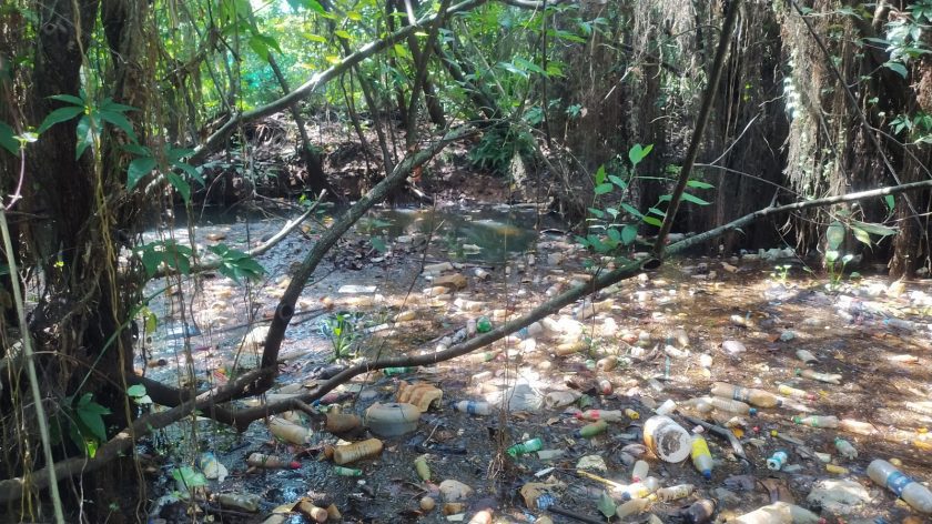 පරිසර දුෂණය නිසා කඩවන මානව අයිතිවාසිකම්