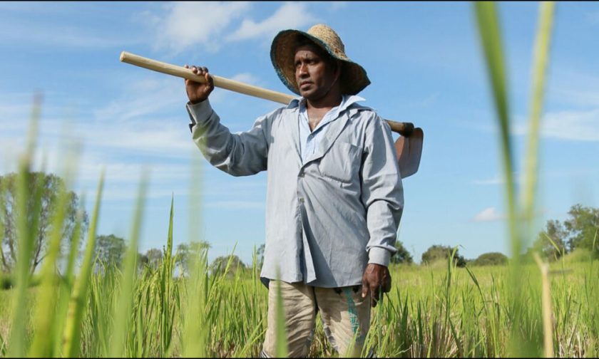පොහොර සඳහා ගොවීන්ට රුපියල් 25,000ක මුල්‍ය ආධාරයක්