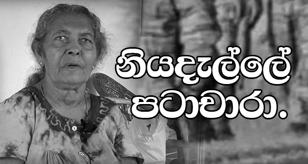 නියදැල්ලේ පටාචාරා
