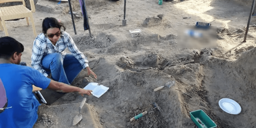 චෙම්මනි සමූහ මිනීවළේ කැනීම් කටයතු ජූලි 21 දා සිට නැවත ආරම්භ කෙරේ.