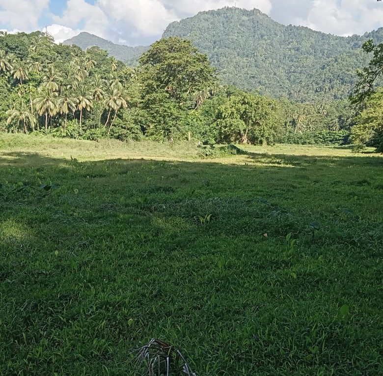 තියඹරාහේන කුඹුරු ගැටලුව සම්බන්ධයෙන් මානව හිමිකම් කොමිසම් සභාවේ අවධානයට ලක් වේ.