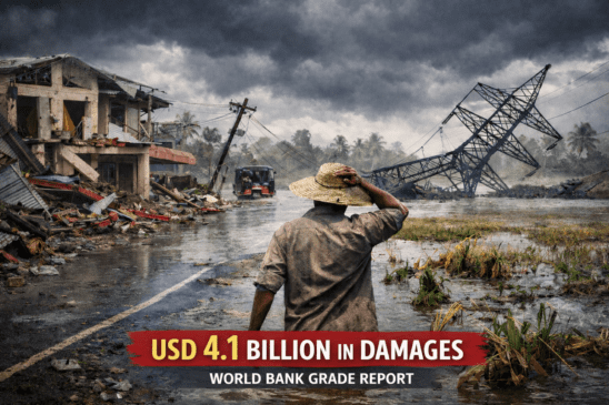 Global Rapid Post-Disaster Damage Estimation